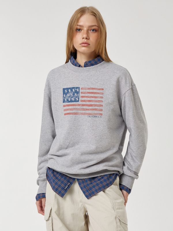 American Flag Sweatshirt